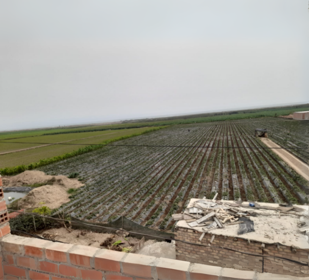 Terrenos en Chancay Lima