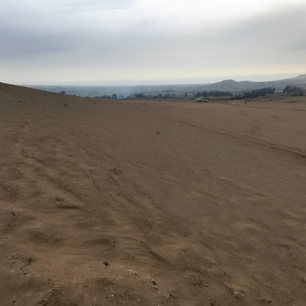 Copilot_20251121_074029