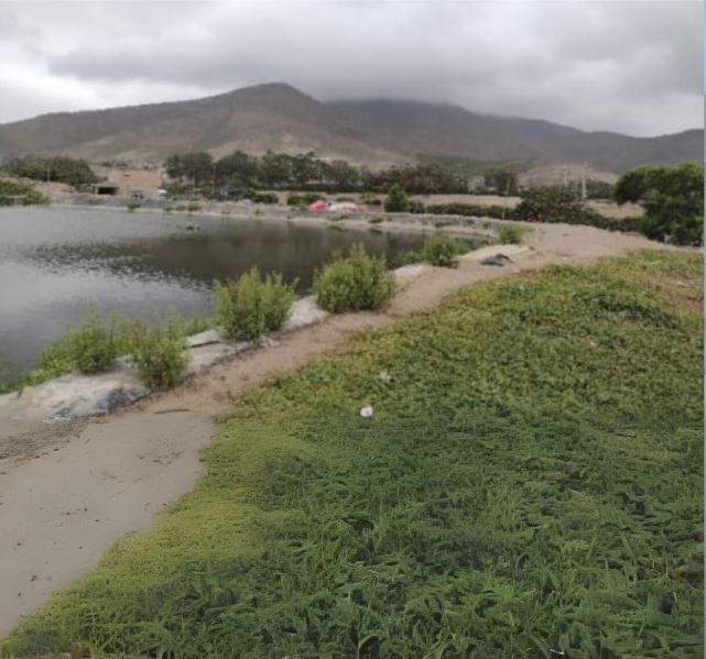 lago chancay